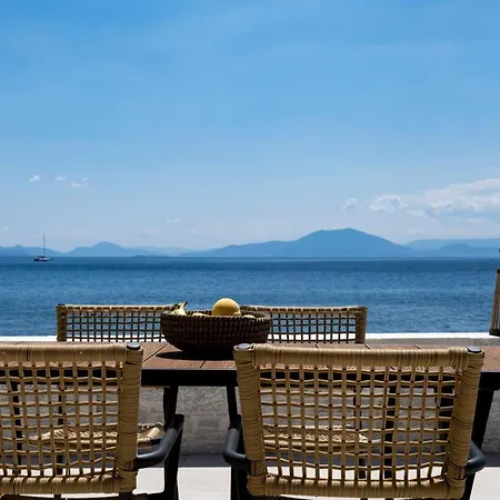 Gatzeas Blue Kato Gatzea