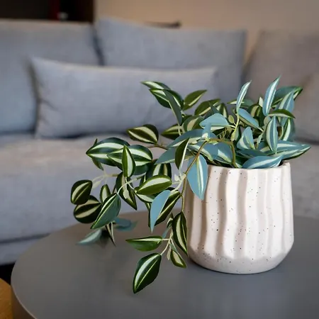 Gatzeas Blue בית נופש קאטו גצאה