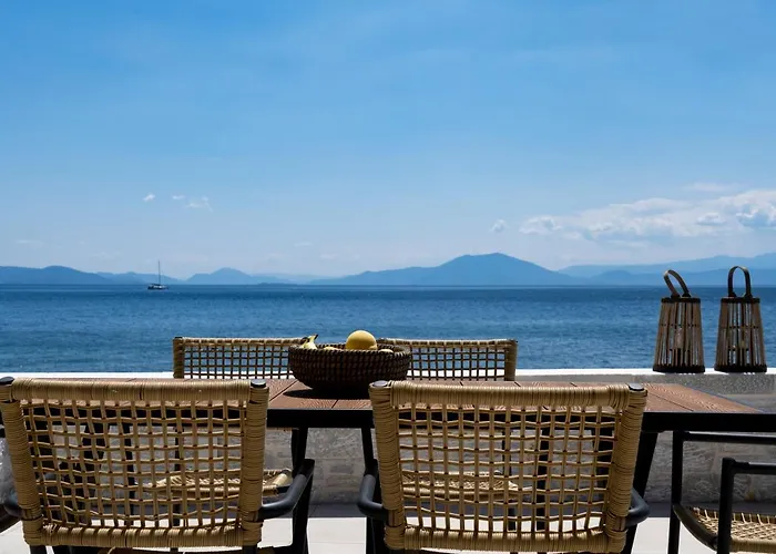 Gatzeas Blue Kato Gatzea